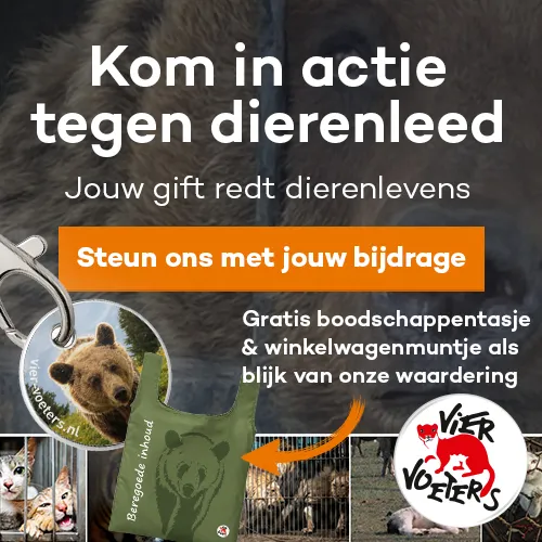 Logo Vier Voeters - Donatie